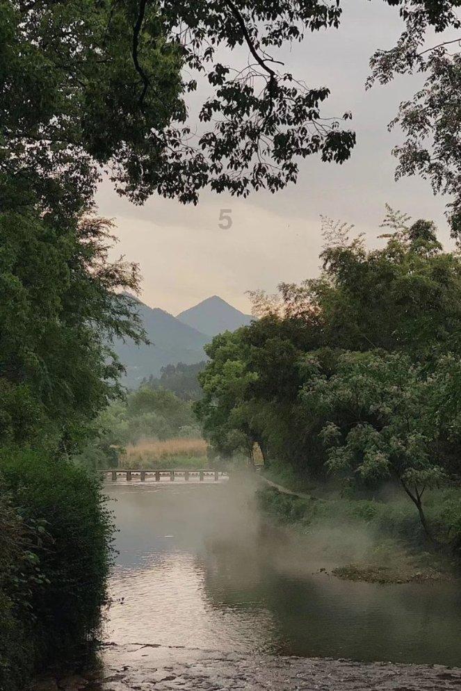 吃了3000粒安眠药，俞敏洪可能还失眠，新东方转型成功了吗？游戏画面