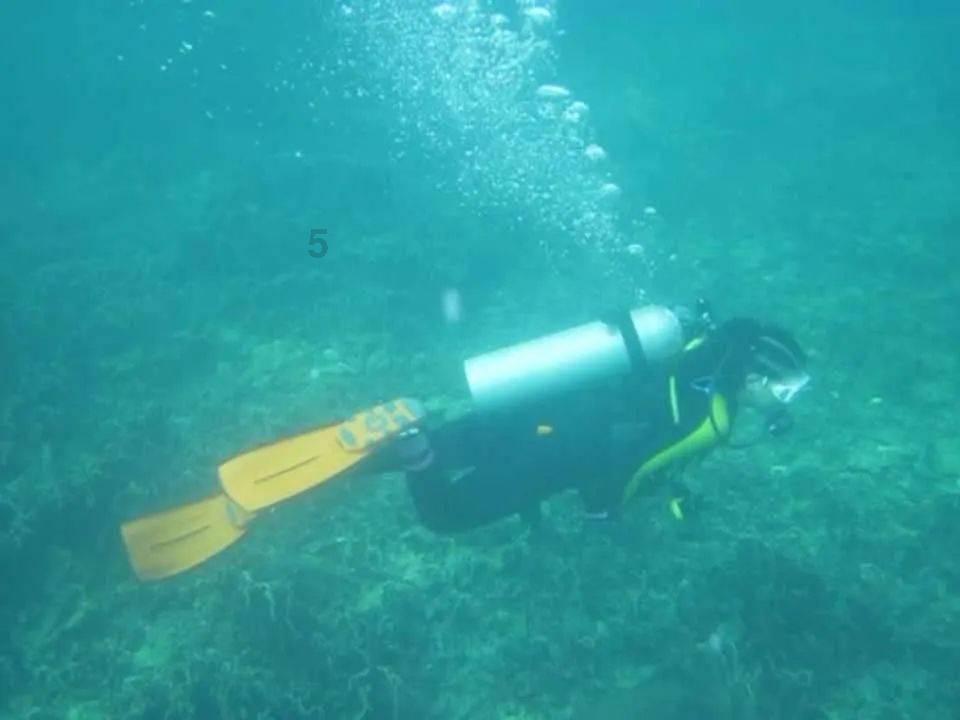 一图读懂｜《机动车燃油加油机》国家标准