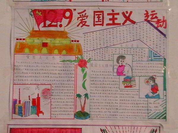 让动物飞一会